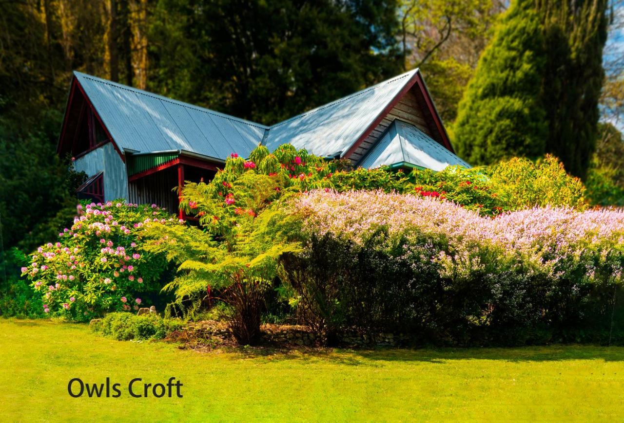 Observatory Cottages Mount Dandenong Exterior foto