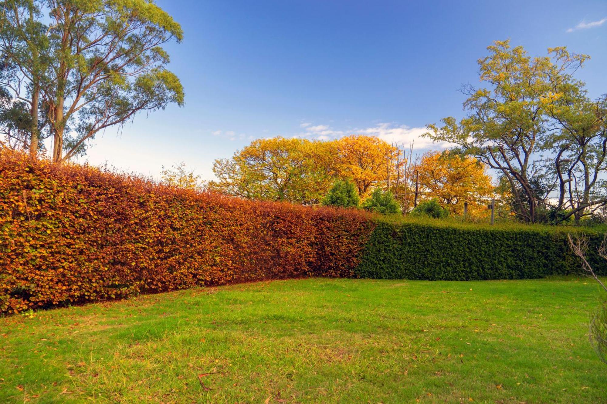 Observatory Cottages Mount Dandenong Exterior foto